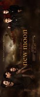 The Twilight Saga: New Moon hoodie #651416