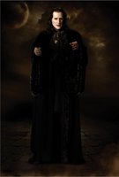 The Twilight Saga: New Moon hoodie #651418