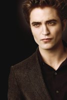 The Twilight Saga: New Moon hoodie #651443