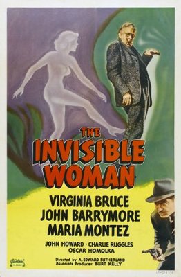 The Invisible Woman Metal Framed Poster