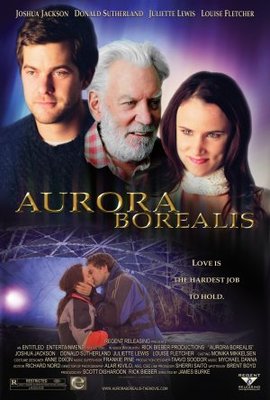 Aurora Borealis Poster with Hanger