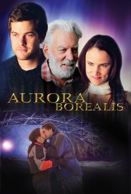 Aurora Borealis Canvas Poster