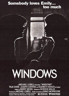 Windows Metal Framed Poster