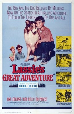 Lassie's Great Adventure Wood Print