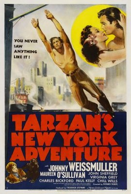 Tarzan's New York Adventure pillow