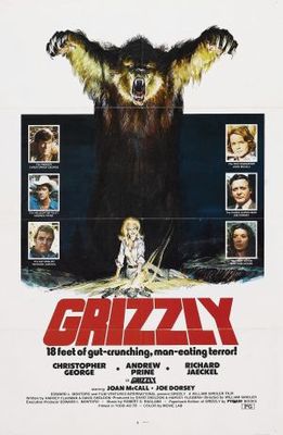 Grizzly Canvas Poster