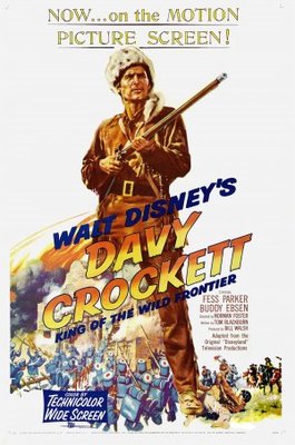 Davy Crockett, King of the Wild Frontier pillow