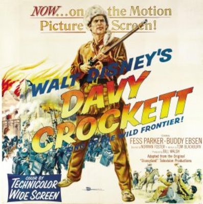 Davy Crockett, King of the Wild Frontier kids t-shirt