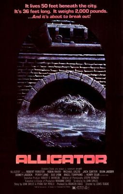 Alligator Metal Framed Poster