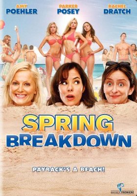 Spring Breakdown Poster with Hanger