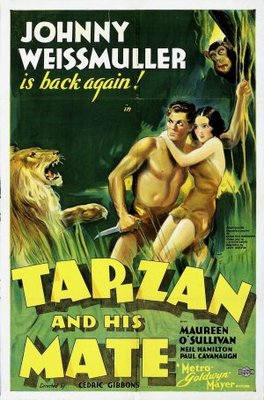Tarzan and His Mate pillow