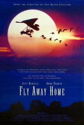 Fly Away Home Wooden Framed Poster