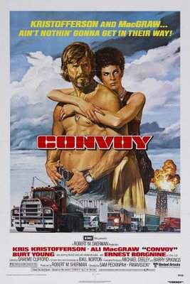 Convoy pillow