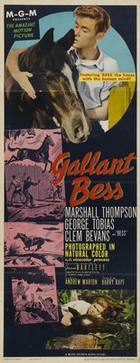Gallant Bess Canvas Poster