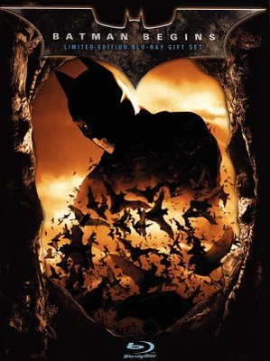 Batman Begins Poster 665602