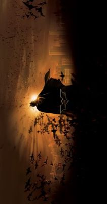 Batman Begins Poster 665605