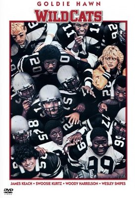 Wildcats Canvas Poster