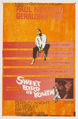 Sweet Bird of Youth Wooden Framed Poster