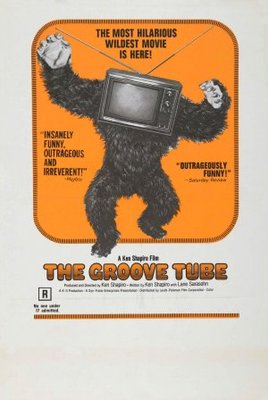 The Groove Tube Poster 668742