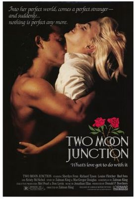 Two Moon Junction pillow