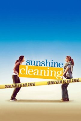 Sunshine Cleaning Stickers 669419