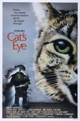 Cat's Eye Wooden Framed Poster