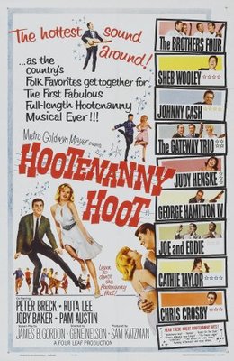Hootenanny Hoot pillow