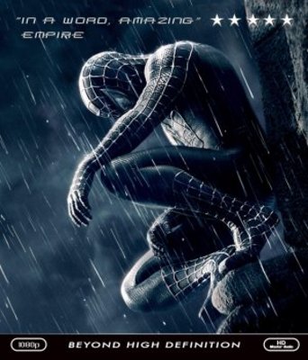 Spider-Man 3 Poster 691219