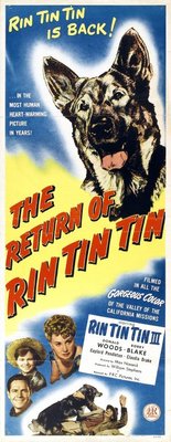 The Return of Rin Tin Tin Wooden Framed Poster