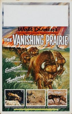 The Vanishing Prairie pillow