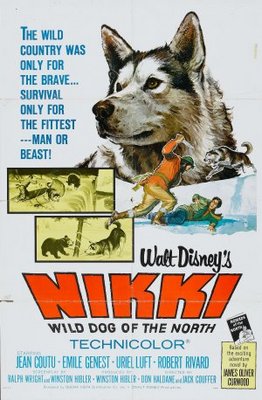 Nikki, Wild Dog of the North pillow