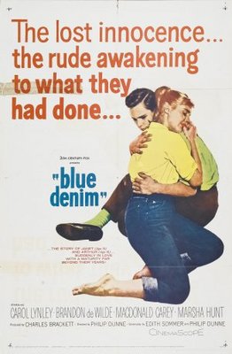 Blue Denim Metal Framed Poster