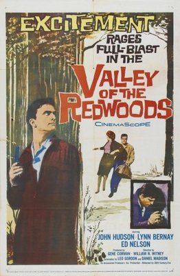 Valley of the Redwoods Metal Framed Poster