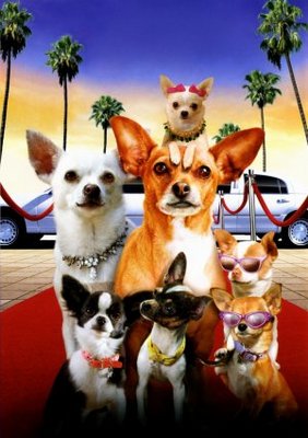 Beverly Hills Chihuahua 2 Wooden Framed Poster