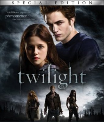 Twilight Metal Framed Poster