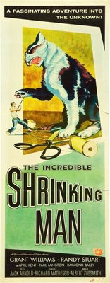 The Incredible Shrinking Man Canvas Poster