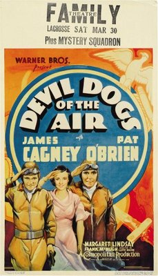 Devil Dogs of the Air pillow