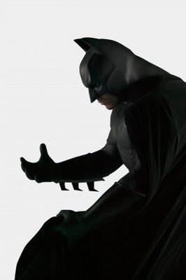Batman Begins Poster 703713
