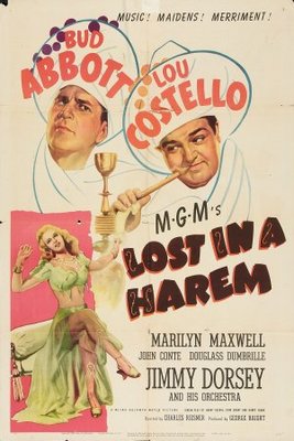 Lost in a Harem poster