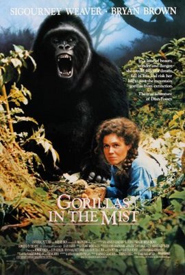 Gorillas in the Mist: The Story of Dian Fossey Poster with Hanger