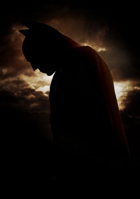 Batman Begins Poster 710382