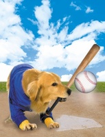 Air Bud: Seventh Inning Fetch Mouse Pad 710478
