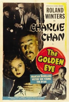 The Golden Eye Metal Framed Poster