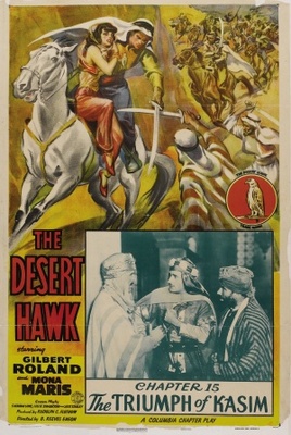 The Desert Hawk pillow