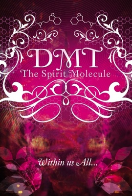 DMT: The Spirit Molecule Wood Print