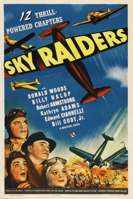 Sky Raiders Metal Framed Poster