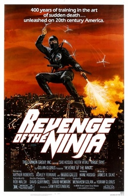 Revenge Of The Ninja pillow