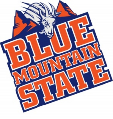 Blue Mountain State pillow
