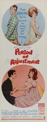 Period of Adjustment pillow