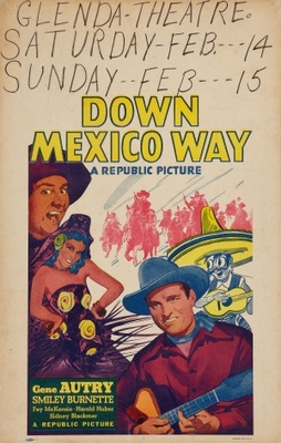 Down Mexico Way pillow